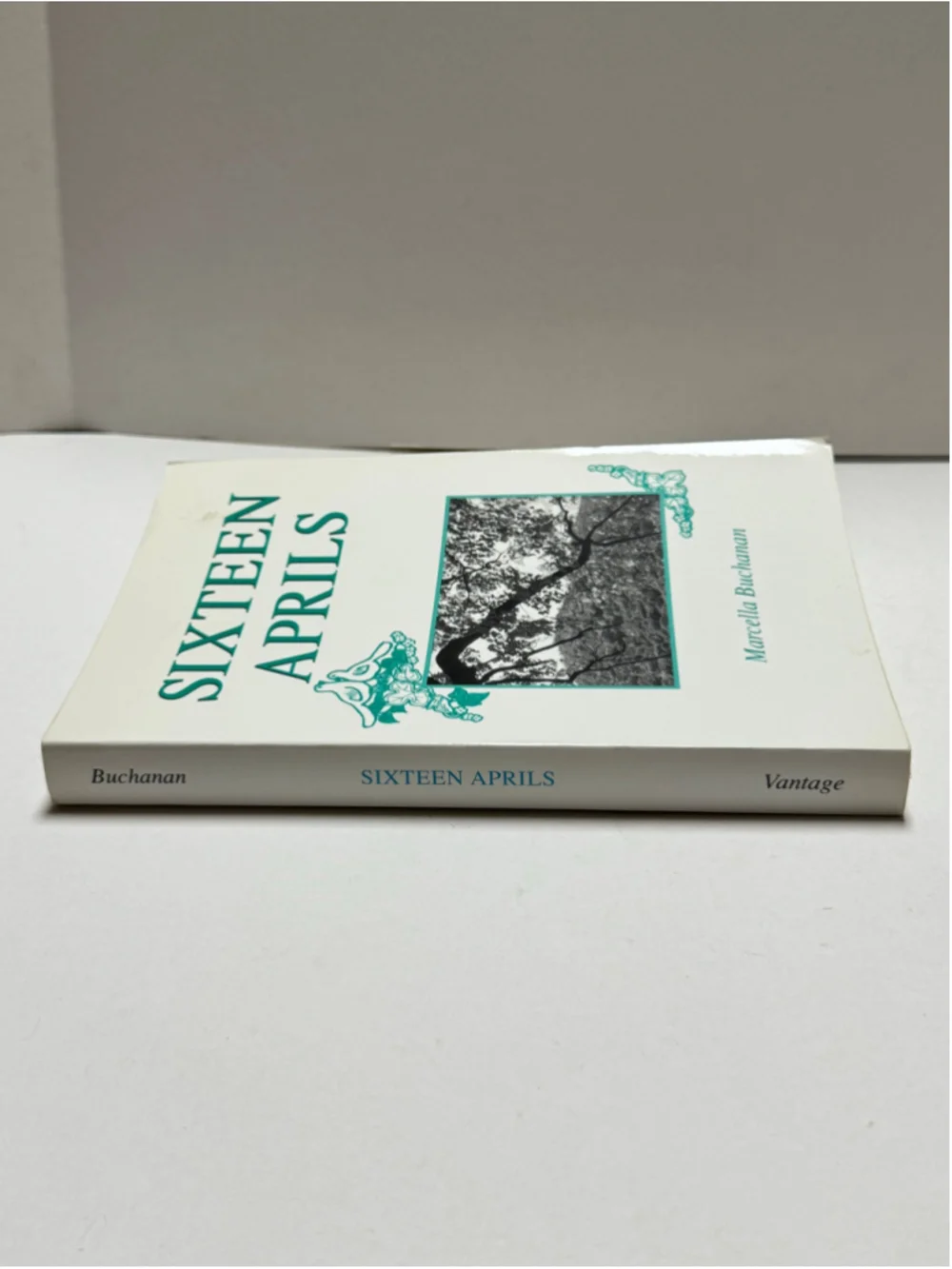 Unbranded sixteen aprils